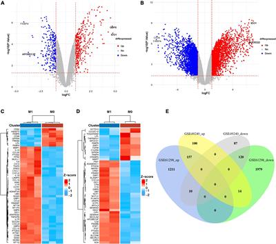 Shared gene characteristics and molecular mechanisms of macrophages M1 polarization in calcified aortic valve disease